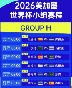 球迷庆祝画面